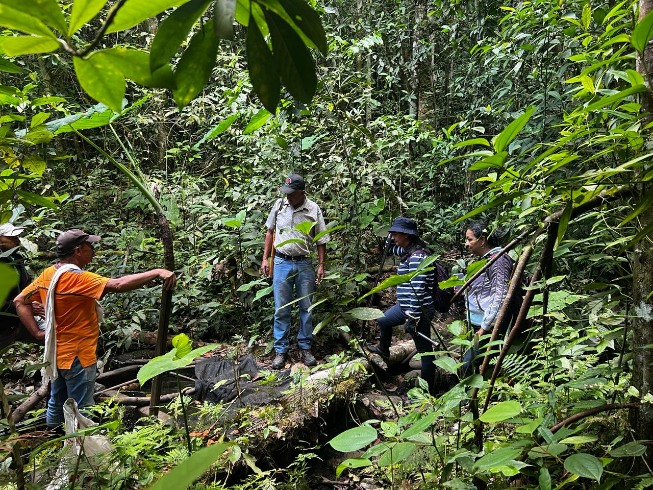 Lee más sobre el artículo Jornada de Reforestación